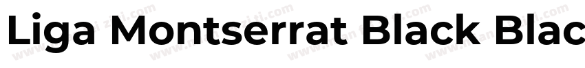 Liga Montserrat Black Black Italic字体转换